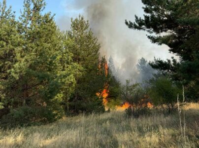 Policia identifikon të dyshuarin për zjarrin në Pakashticë, lirohet pasi mohon përfshirjen