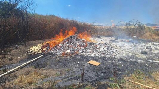 Arrestohet një 18-vjeçar në Vushtrri, dyshohet se dogji dy hektarë arë me grurë