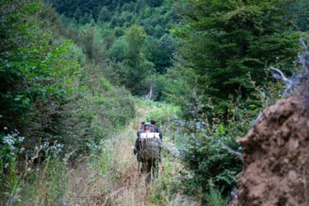 KFOR-i gjerman vijon patrullimet në lindje