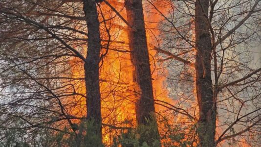 Zjarret “përvëlojnë” Shqipërinë – 18 vatra brenda 24 orëve, dy ende aktive