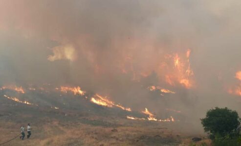 Dëmet e shkaktuara nga zjarret, Qeveria e Shqipërisë me paketë mbështetëse