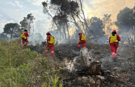 21 vatra zjarri brenda një dite në Shqipëri, katër ende aktive