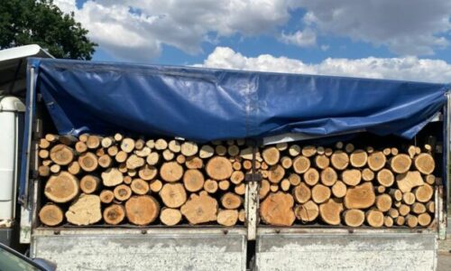 Policia parandalon kontrabandën me drunj në Ferizaj