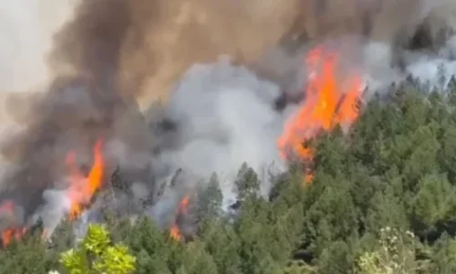 Vijon të jetë aktiv prej ditësh zjarri, flakët po i afrohen Parkut të Llogarasë në Shqipëri