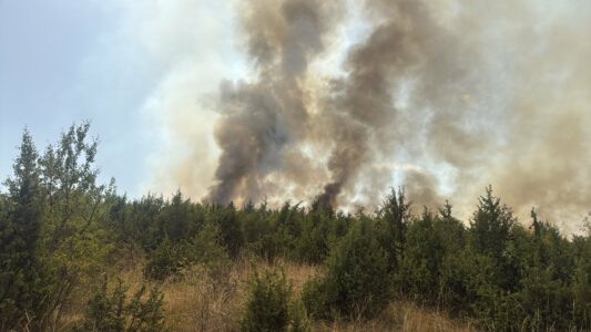 Dy vatra të zjarrit në rajonin e Pejës, zjarrfikësit po intervenojnë