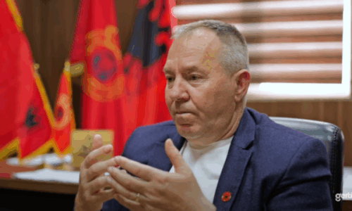 100 raste nga paslufta – Gucati tregon se si gruaja e djali ia shpëtuan jetën një veterani