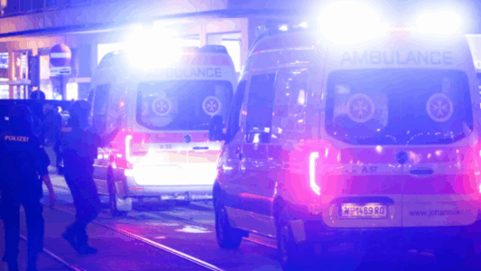 Rrëzohet aeroplani në Austri, të paktën katër të vdekur