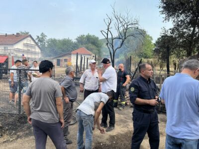 Fermerit nga Stubëlla e Vitisë i digjet stalla me 42 dele brenda