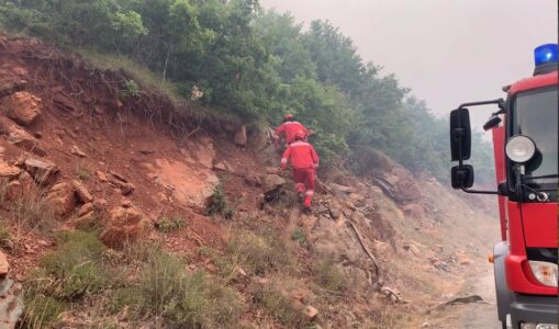 Zjarr masiv në Klos, qindra hektarë pyje e kullota të djegura