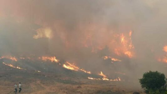 Shqipëri: Rreth 26 mijë hektarë me pyje dhe shkurre të djegura, kapin shifrën mbi 160 milionë euro dëme