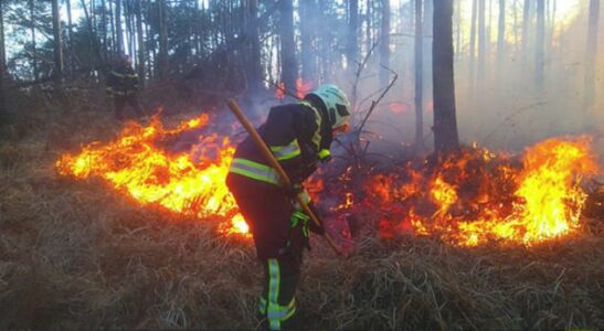 Situata me zjarret në Kosovë, zjarrfikësit apelojnë për kujdes