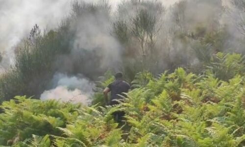 Asfiksohen tre zjarrfikës në Dukat të Vlorës, dërgohen në spital për ndihmë mjekësore