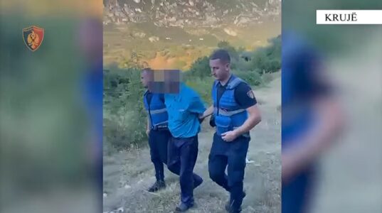 Shqipëri: Arrestohen një 67 dhe një 62 vjeçar, u kapën duke kultivuar drogë