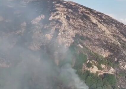 ​Shqipëri, arrestohen 12 persona për zjarrvënie të qëllimshme