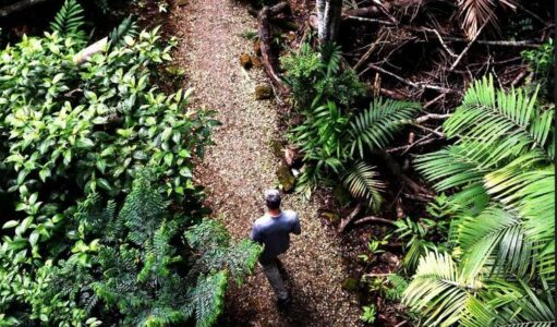 Fotografi i Hashim Thaçit publikon imazh simbolik pas intervistës nga Haga