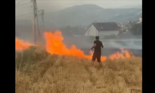 Shpërthen zjarri në Vaganicë të Mitrovicës, shumë afër shtëpive, banorët tentojnë ta shuajn