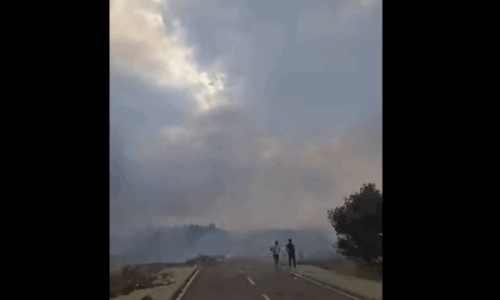 Pamje të frikshme nga fshati Lubizhdë në Prizren, zjarri masiv po djeg gjithçka