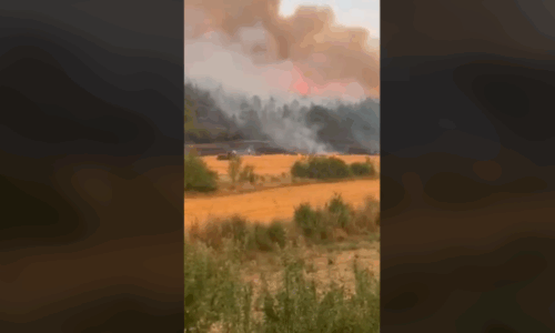 Banorët e fshatit Trudë në Prishtinë në luftë me zjarret