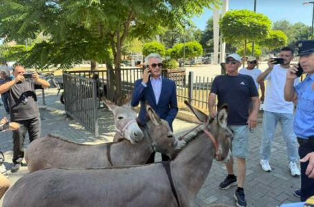 Koci e çon në librin e rekordeve ‘Guinness’ mos konstituimin e Kuvendit