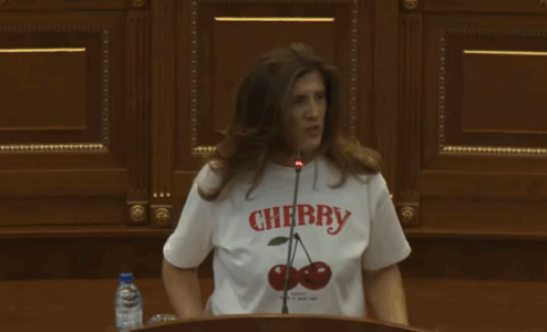 ” I thashë, ose flasim të gjithë ose s’flet as ti”- Ganimete Musliu flet pas përplasjes me Avni Deharin