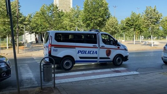 Trafiku i armëve nga Kosova në Shqipëri, gjykata e Kukësit lë në burg dy të arrestuarit