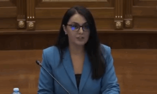 Lushaku-Sadriu: VV-ja i ka marrë peng institucionet për ta mbajtur veten në qeveri