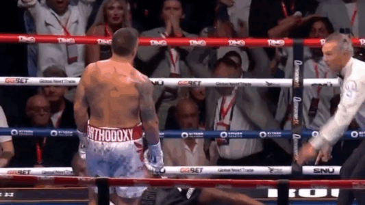 Nga sa para i fituan mbrëmë Usyk dhe Dubois?