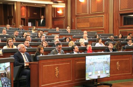 Deputetja e PDK`së thirrje për protestë: LVV po e mban peng Kuvendin