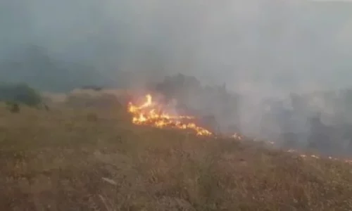 Arrestohet i mituri, e pranon se ka ndezur zjarr në Majac të Podujevës