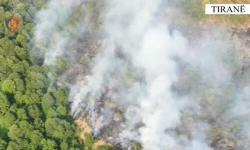 Dogji rreth 600 hektarë në Parkun Kombëtar të Dajtit, arrestohet bariu 63-vjeçar që ndezi zjarrin
