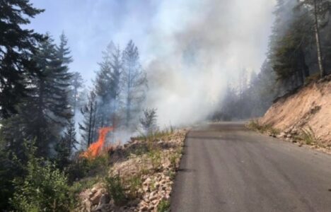 66 raste të zjarreve për 24 orë në Kosovë