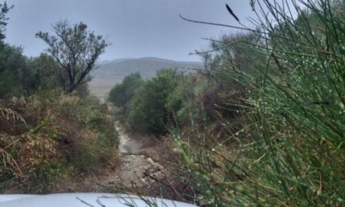 Çifti ukrahinas bllokohet në kodrat e Zvërnecit, era e fortë rrëzon pemën dhe i bllokon