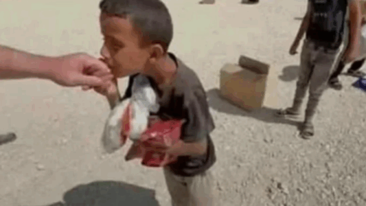 Historia e Amirit i cili u vra në Gaza ndërsa kërkonte ndihmë tronditi botën, familja ende po kërkon trupin e tij