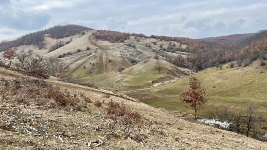 Rrëfimi i Gashit: Sërgjan Simiq vrau tre serbë, Serbia po tenton të fabrikojë ngjarjen
