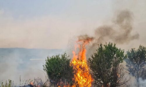 Raporti i fundit: 38 vatra zjarri në Kosovë, 24 vazhdojnë të jenë aktive