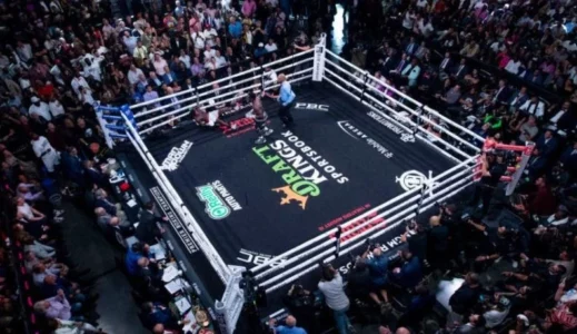 Vdesin dy boksierë japonezë, pësuan lëndime në tru në të njëjtën mbrëmje