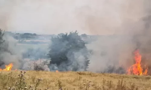 36 vatra zjarri sot në Kosovë, 4 ende aktive