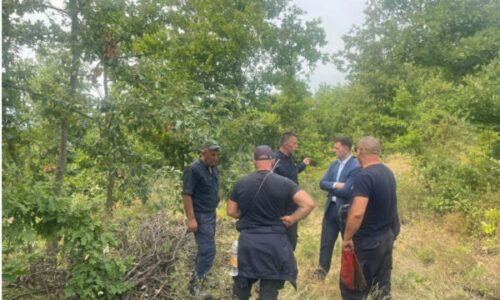 78 vatra zjarri në Kosovë, situata më e rënduar në disa fshatra të Vushtrrisë
