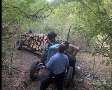 Policia në Zveçan arreston dy persona për vjedhje të pyllit