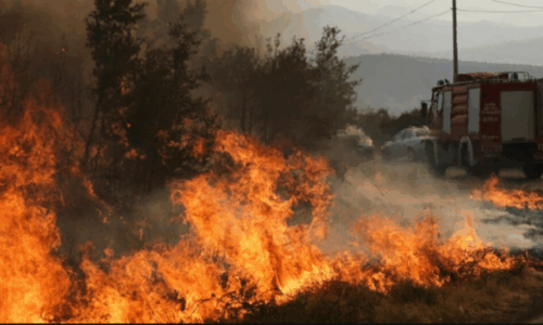 Zjarret në Mal të Zi: Ndërpritet qarkullimi në kanionin e Platijes, pritet ndihmë nga Bosnja, Austria dhe Hungaria