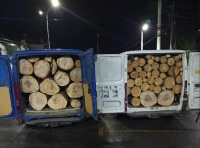 Aksion kundër prerjes së pyjeve në Malet e Sharrit, ja çka konfiskoi policia