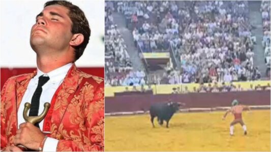 Pamje tmerruese nga Lisbona: Demi përplas për vdekje 22-vjeçarin në muret e arenës