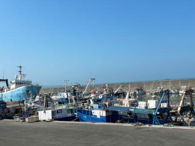 Të vetmit në Mesdhe: Peshkimi pa ndërprerje në Shqipëri rrezikon rezervat detare