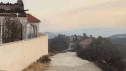 Zjarri në Lefterhor të Delvinës, digjen edhe kosheret – bletët ‘pushtojnë’ fshatin