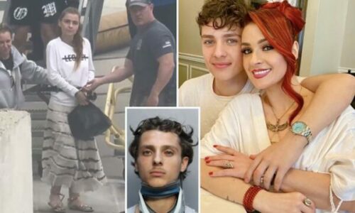 Nënë e bir shqiptarë kapen duke tentuar të arratisen nga SHBA pas një gare fatale me vetura