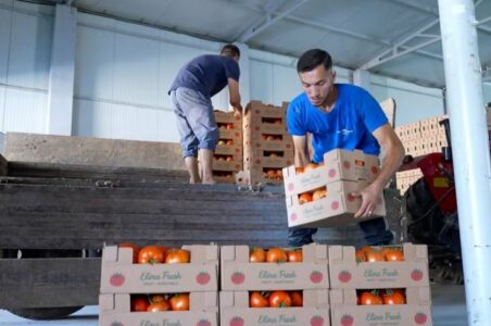 Perimet vendore shkojnë jashtë, tregu mbushet me import