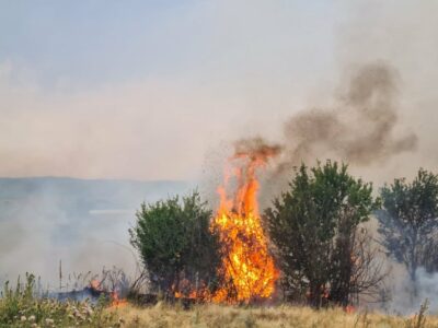 Nëntë vatra zjarri aktive dhe 23 të arrestuar për zjarrvënie në Kosovë