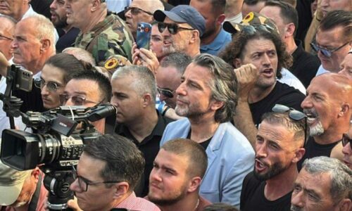 Edhe Përparim Rama merr pjesë në protestë