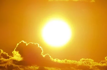 Mot afrikan javën e ardhshme në Kosovë