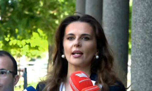 Çitaku: Shpresojmë që Albin Kurti do të reflektojë, Kosova ka halle të mëdha